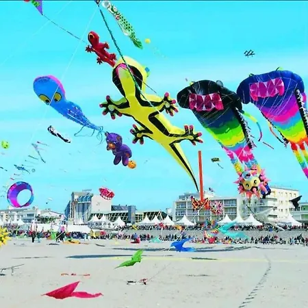 Tresor D'opale T1 Vue Balneo-spa Parking Prive Wifi Netflix 3 Pers Berck